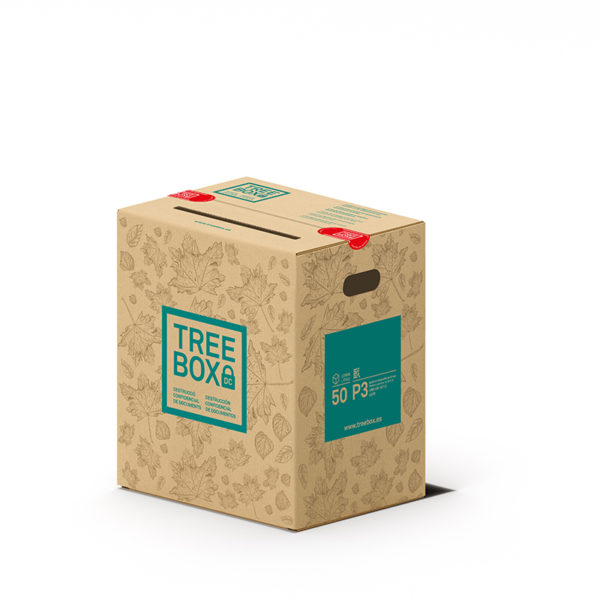 Bienvenida - Treebox